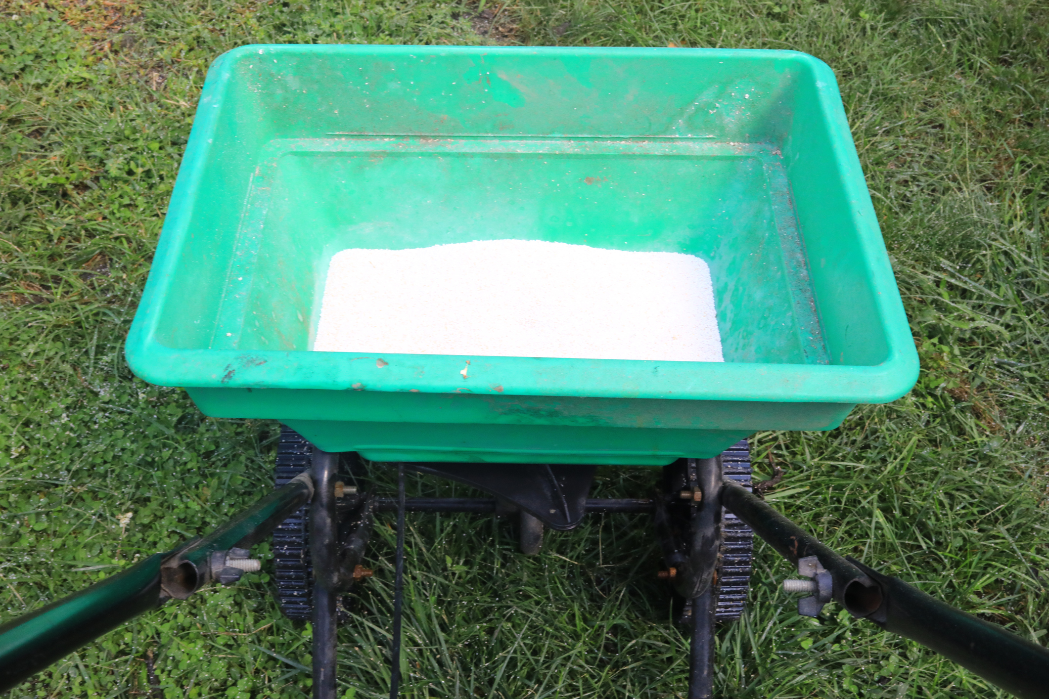 White granules line the bottom of a green lawn spreader.