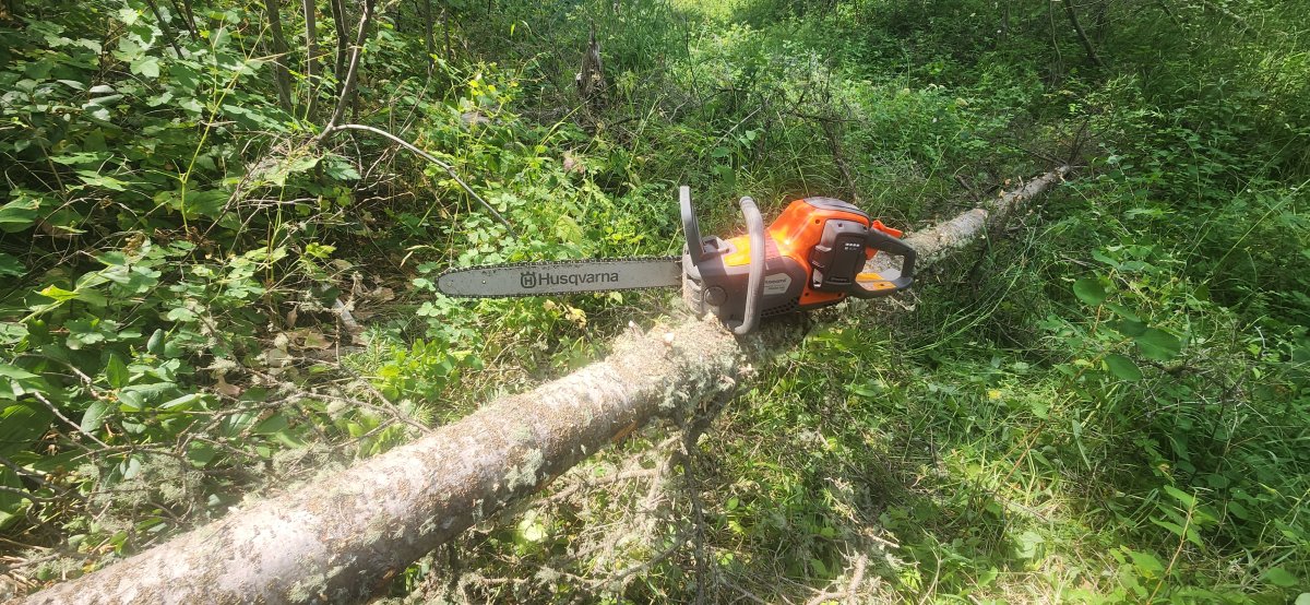 Husqvarna rancher chain saw sitting on tree