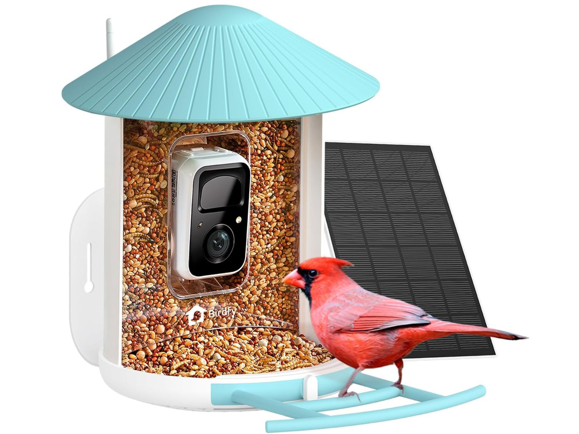 Birdfy Smart Bird Feeder with Camera