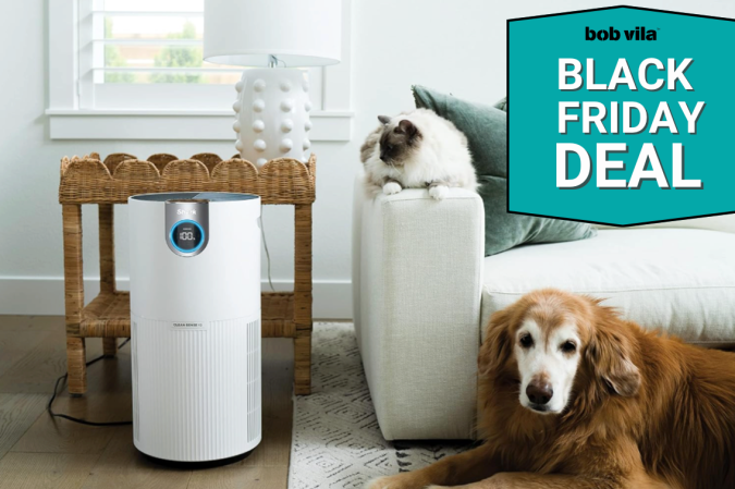 Shark air purifier black friday deal