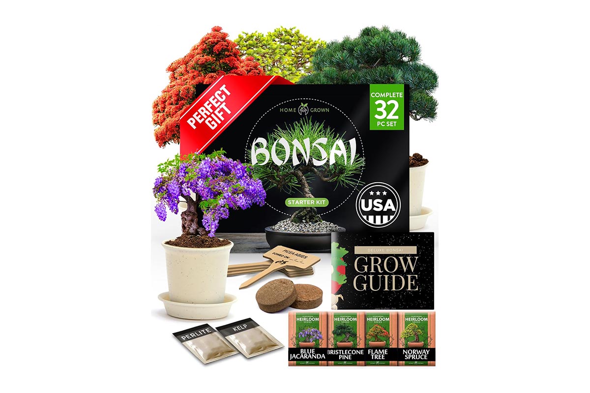 The Best Gifts for Gardeners Option Home Grown Bonsai Tree Kit