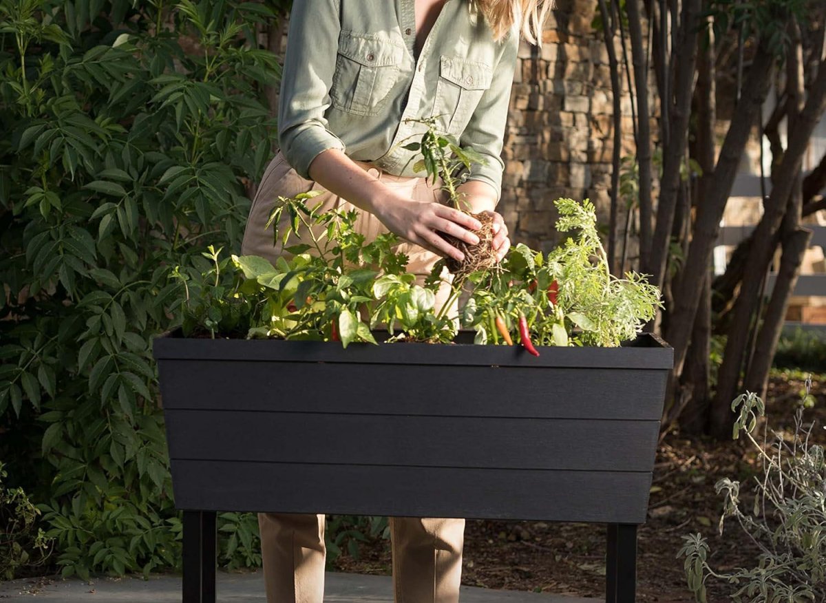 The Best Gifts for Gardeners Option Keter Urban Bloomer Raised Garden Bed