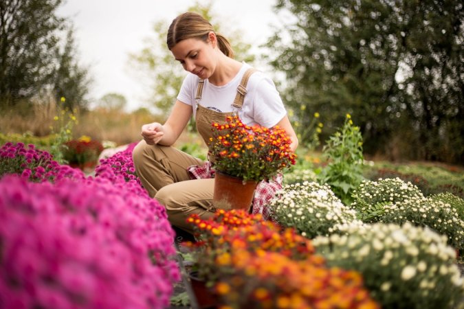 A woman with a pony tail and overalls plants fall flowers in pots.