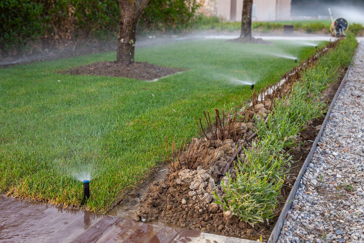 Sprinklers running on a green lawn.