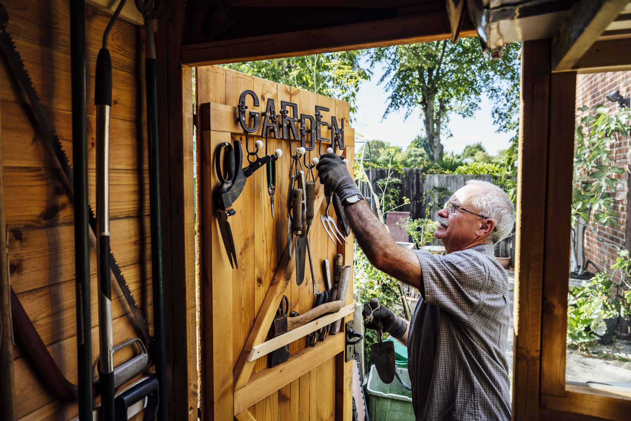 View from inside storage shed as Caucasian man in late 60s wearing casual clothing and work gloves selects tool from hook on door.