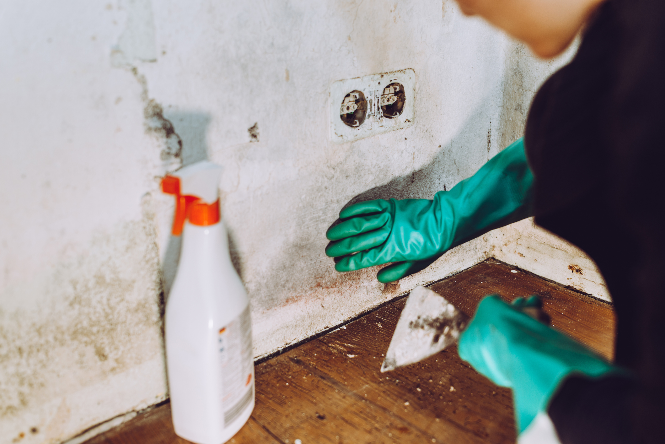 Woman wearing a green glove and removing mold from a wall using spatula and cleaner.