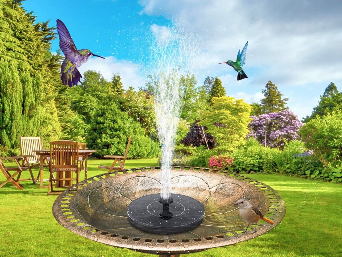 birds flying near the bird bath fountain