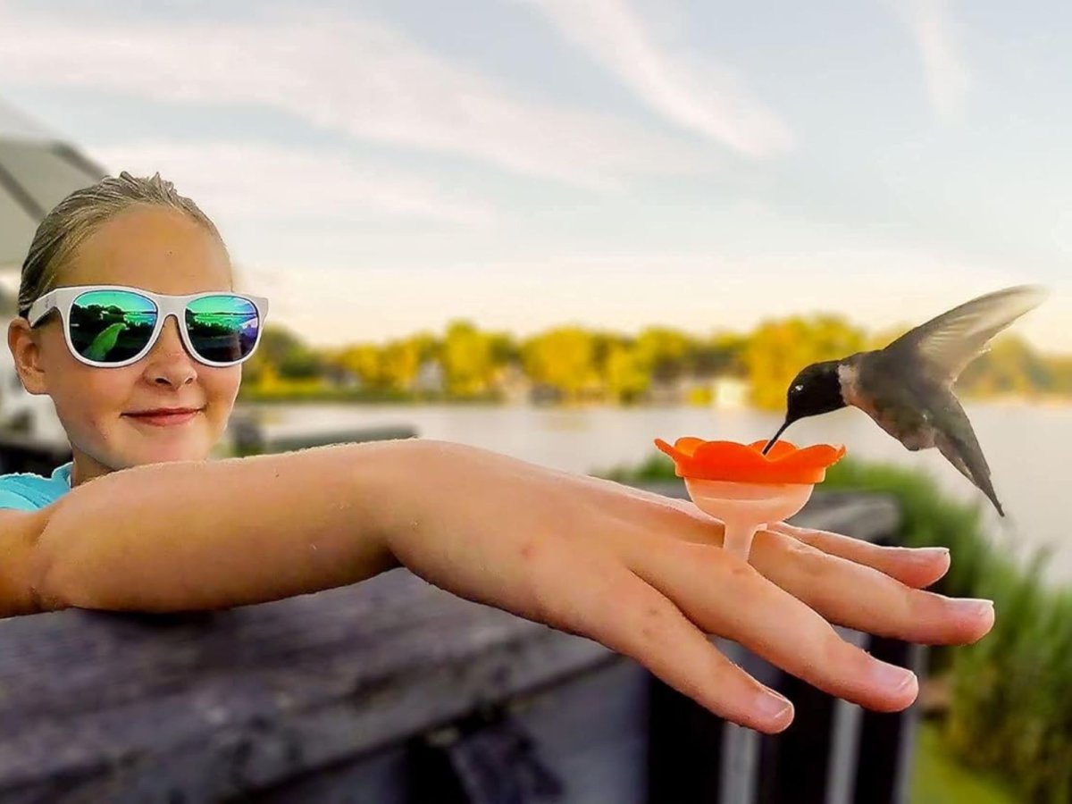 a girl with a ring feeder feeding a hummingbird