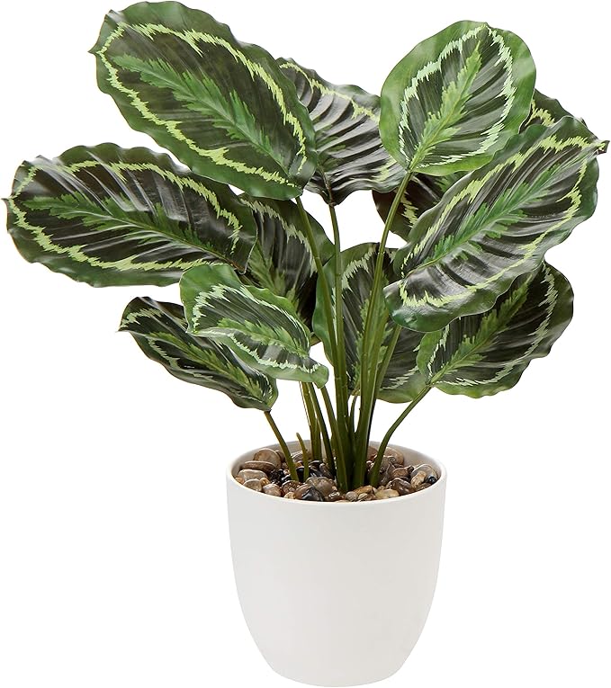 Faux calathea plant.