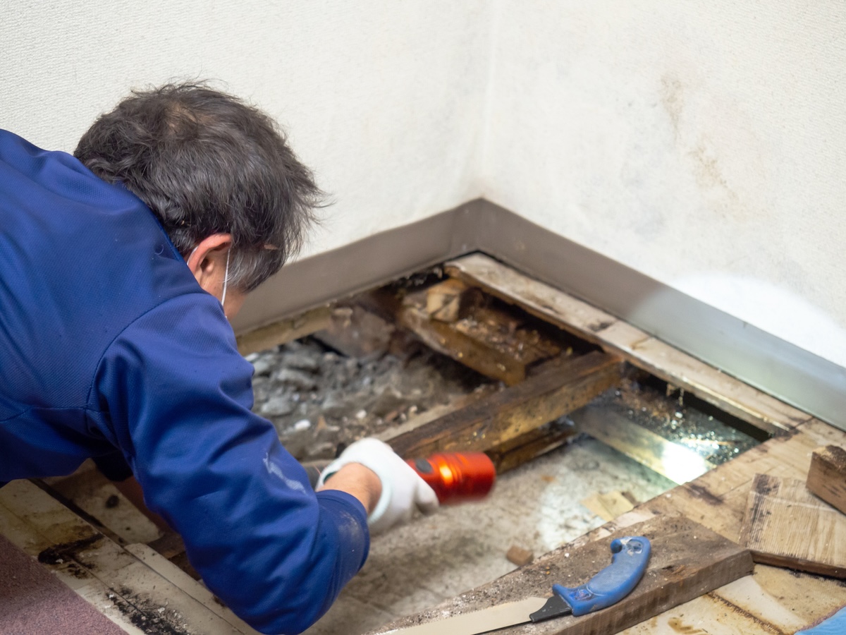 A homeowner inspecting a section of flooring that appears to have mold growth.