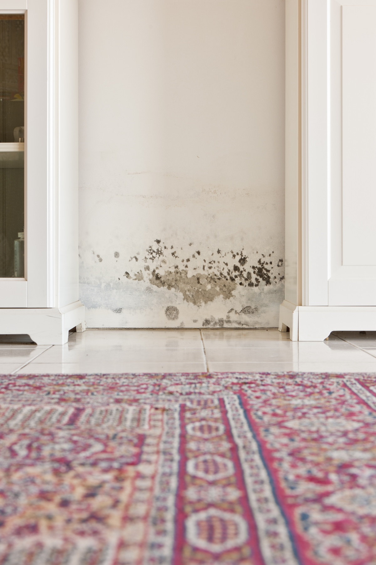 Mold growing between bathroom vanity cabinets on a bathroom wall.