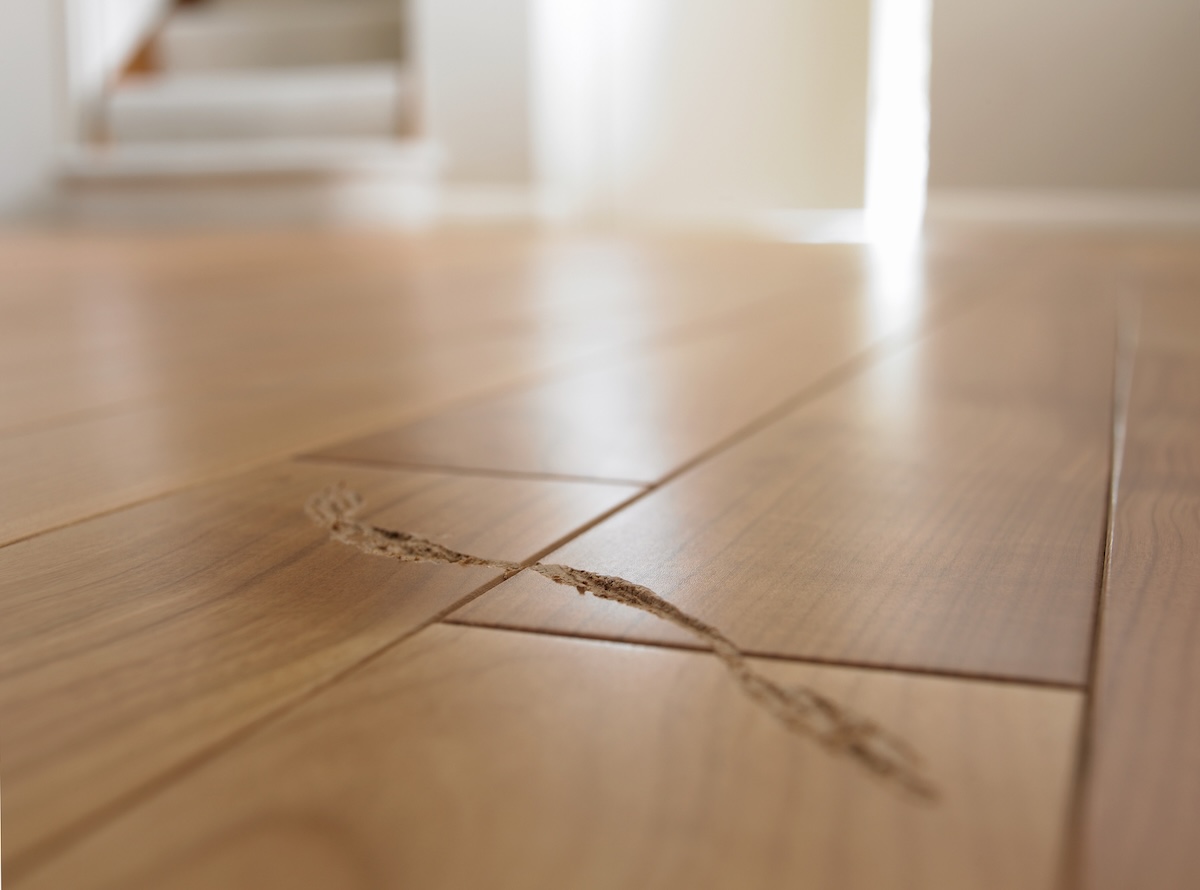 Scratches and gouges in a hardwood floor.