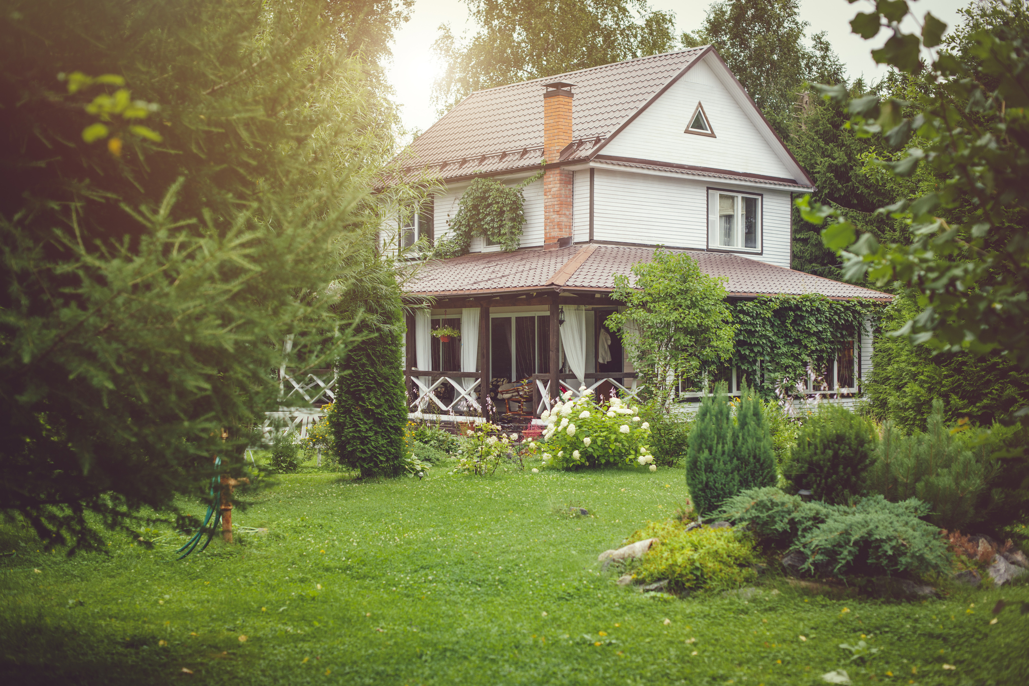 Country cottage with green landscaped back yard in sunny summer day.