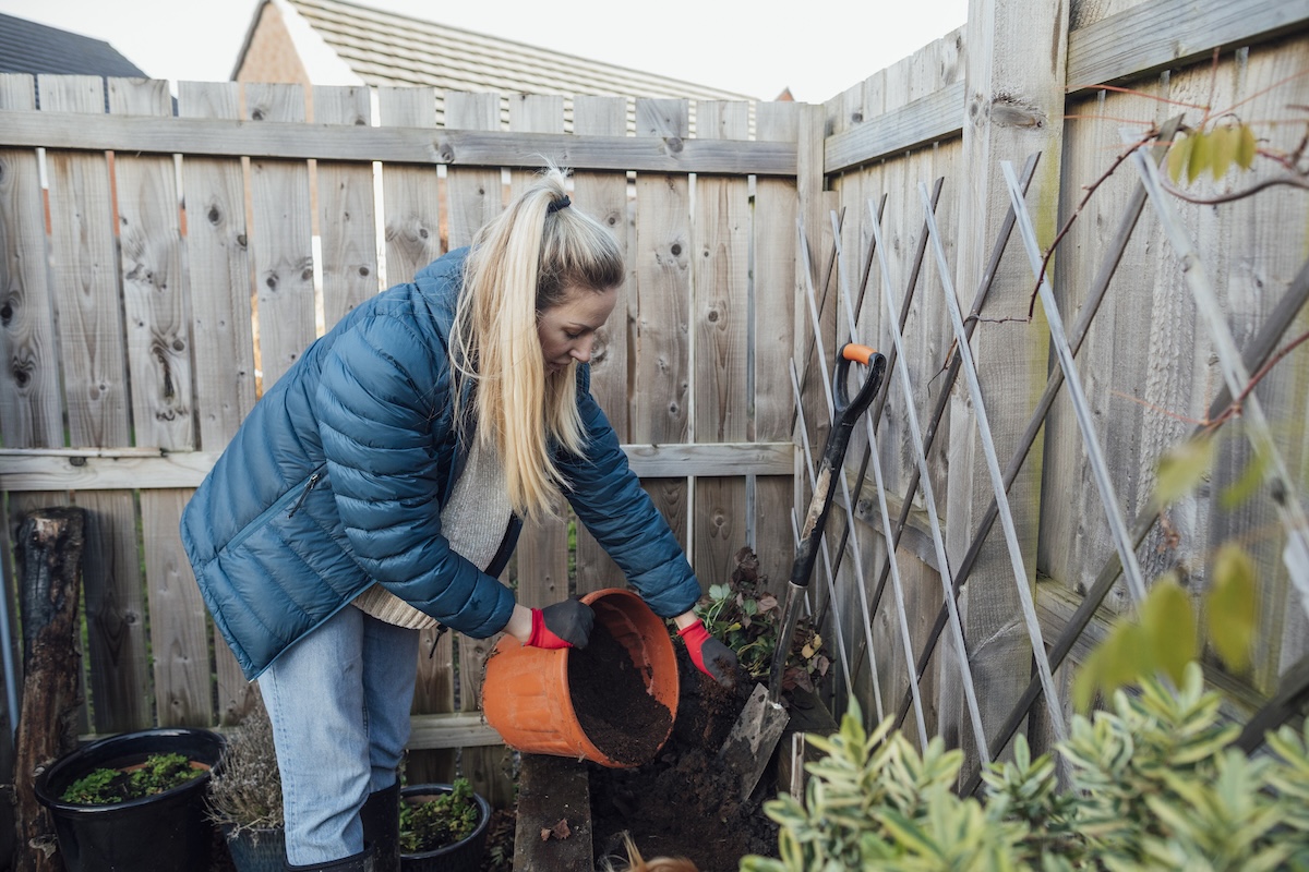 A gardener filling plant beds with soil during a winter warm up.