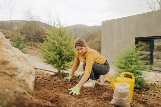 Photo of a young woman planting a small tree in her backyard