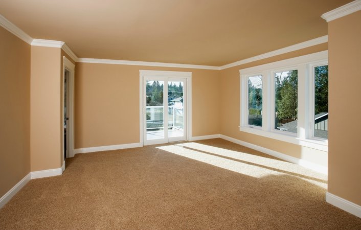 An empty room with painted baseboards and carpet.