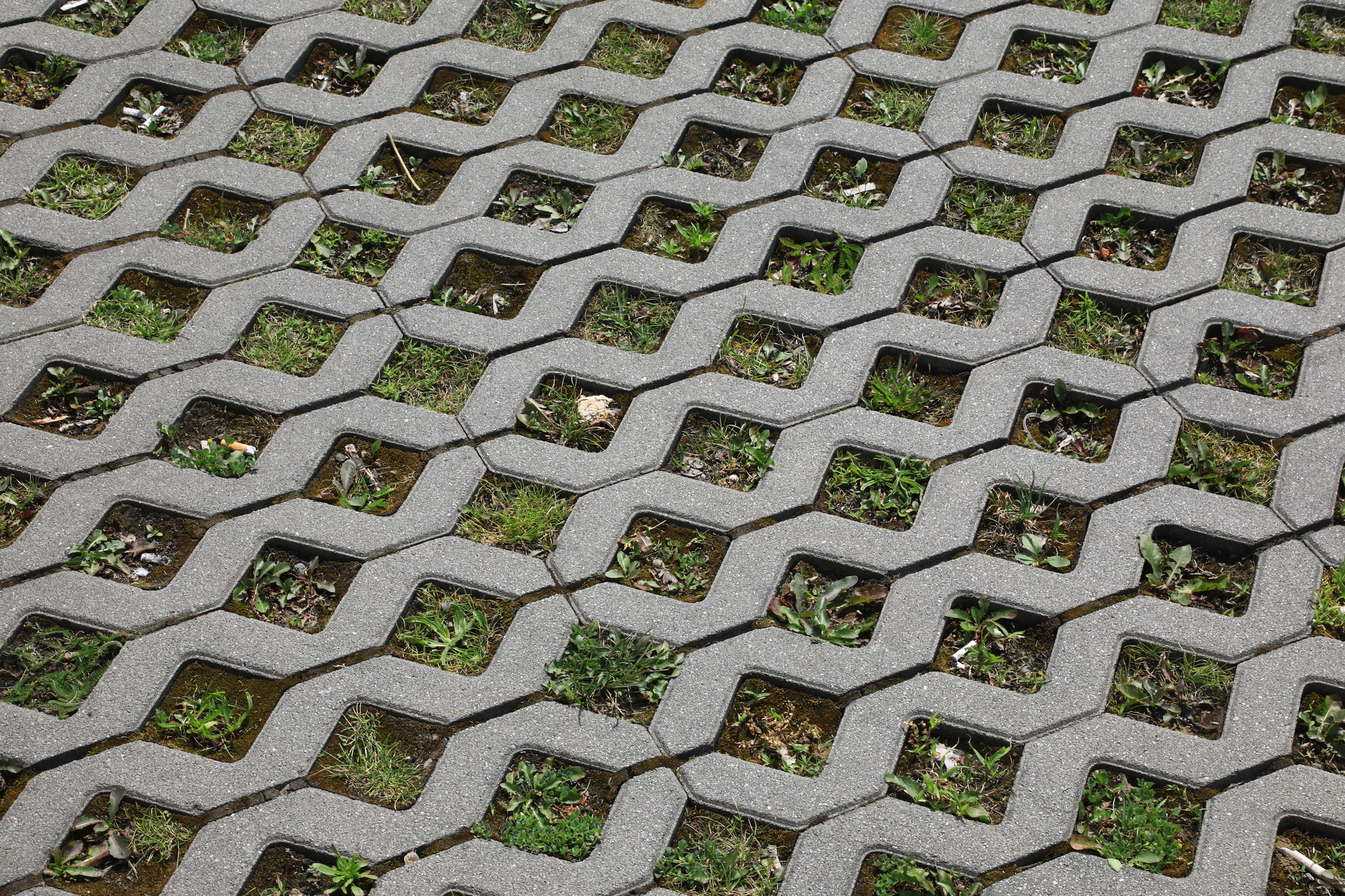 Grey permeable pavers with green grass peaking through