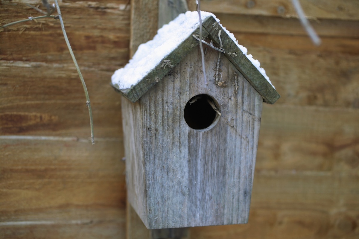 A birdhouse with snow on its roof.