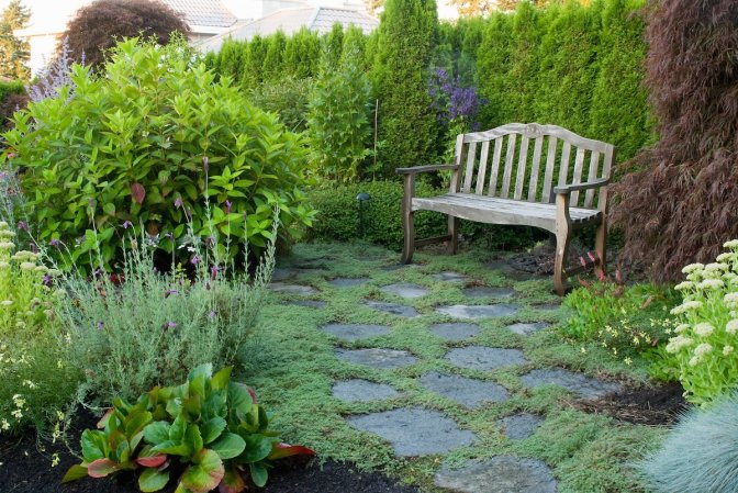 A stunning backyard landscape with flowering and non-flowering plants.