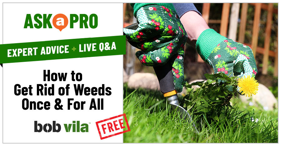 Ask a Pro announcement: How to Get Rid of Weeds Once & For All