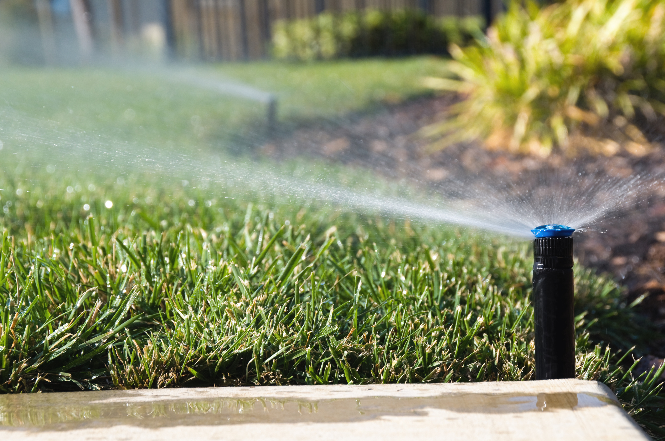 Sprinkler system spraying water in grassy yard.