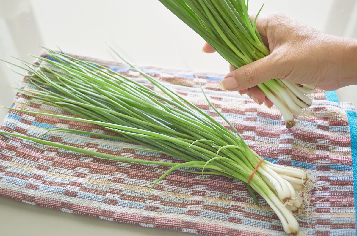 A person prepping green onions for a meal.