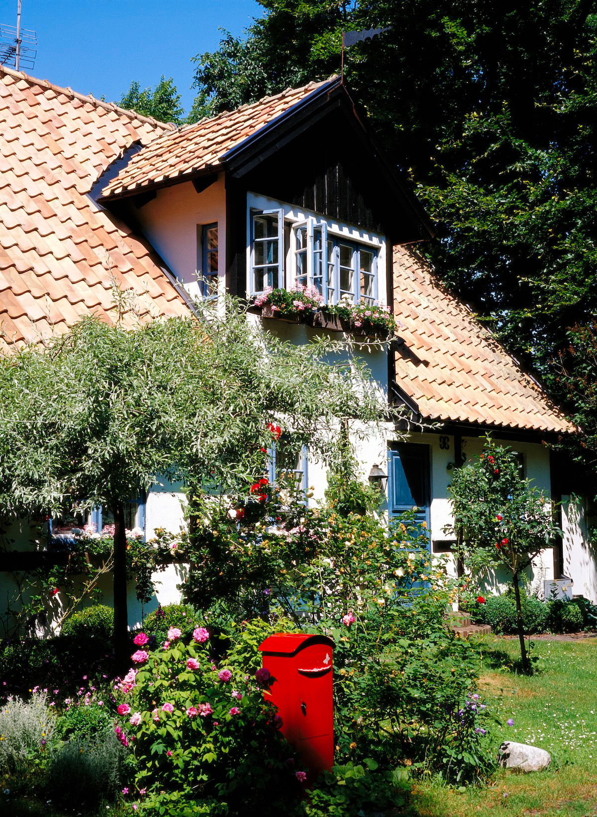 A cottage style garden with a home mailbox.