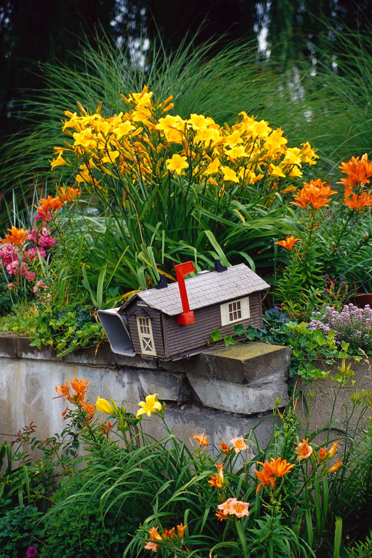 A whimsical mailbox landscaping idea featuring colorful lilies.