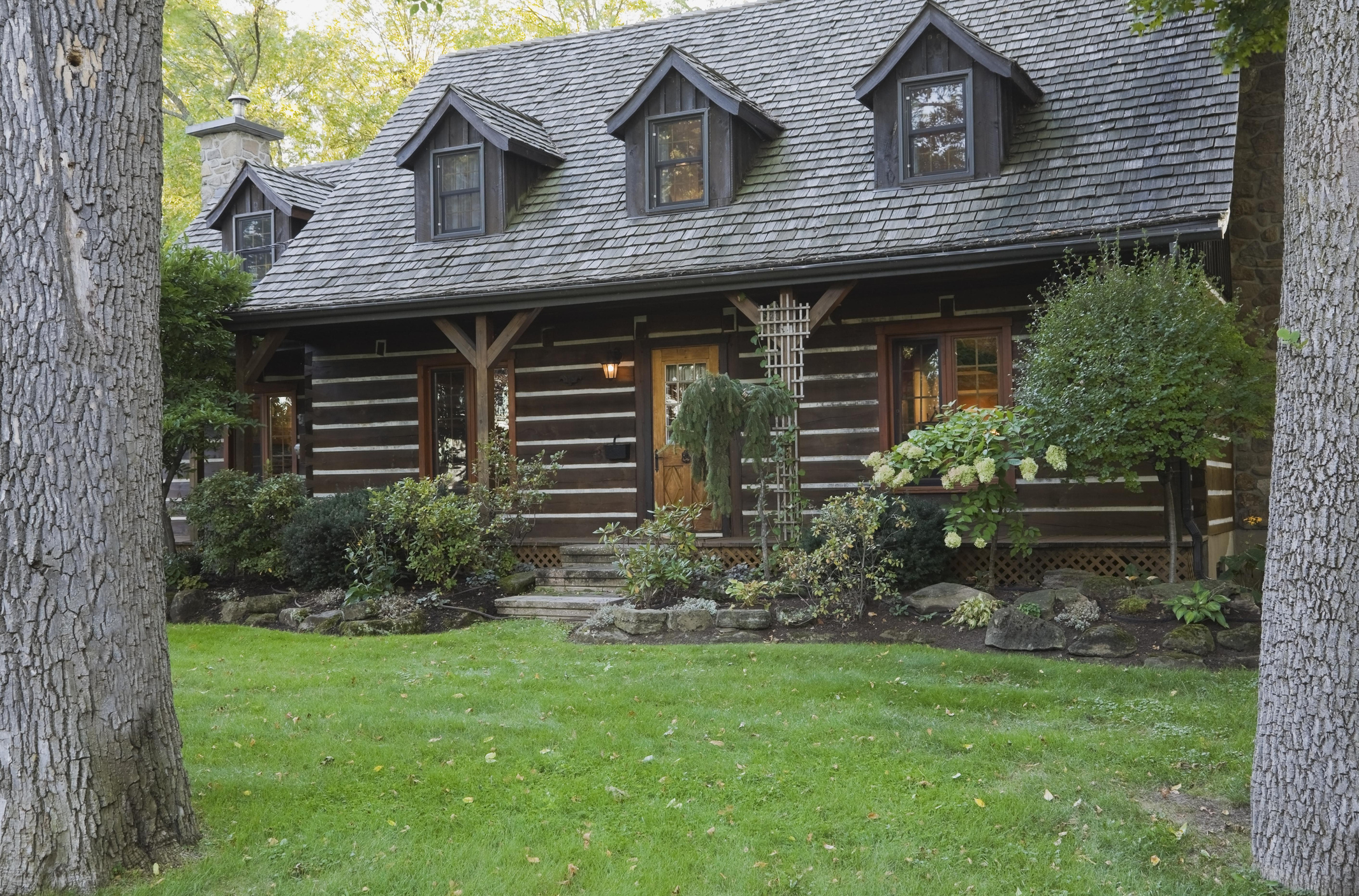 Log cabin home with grey weathered cedar shingles roof and landscaped front yard in autumn.