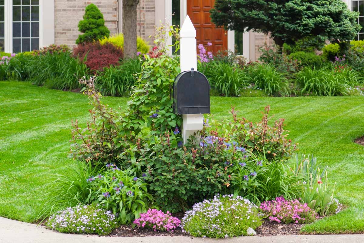 A circular mailbox landscaping idea with perennial plants.