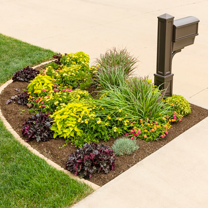 Perennial plants surrounding a residential mailbox.