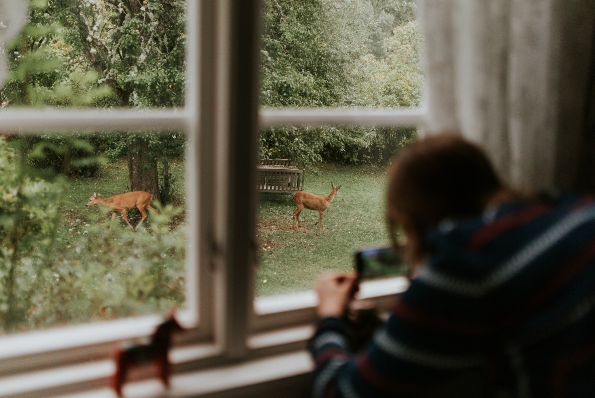 Here's What to Do When You Find Wildlife in Your Yard, Acoording to Experts
