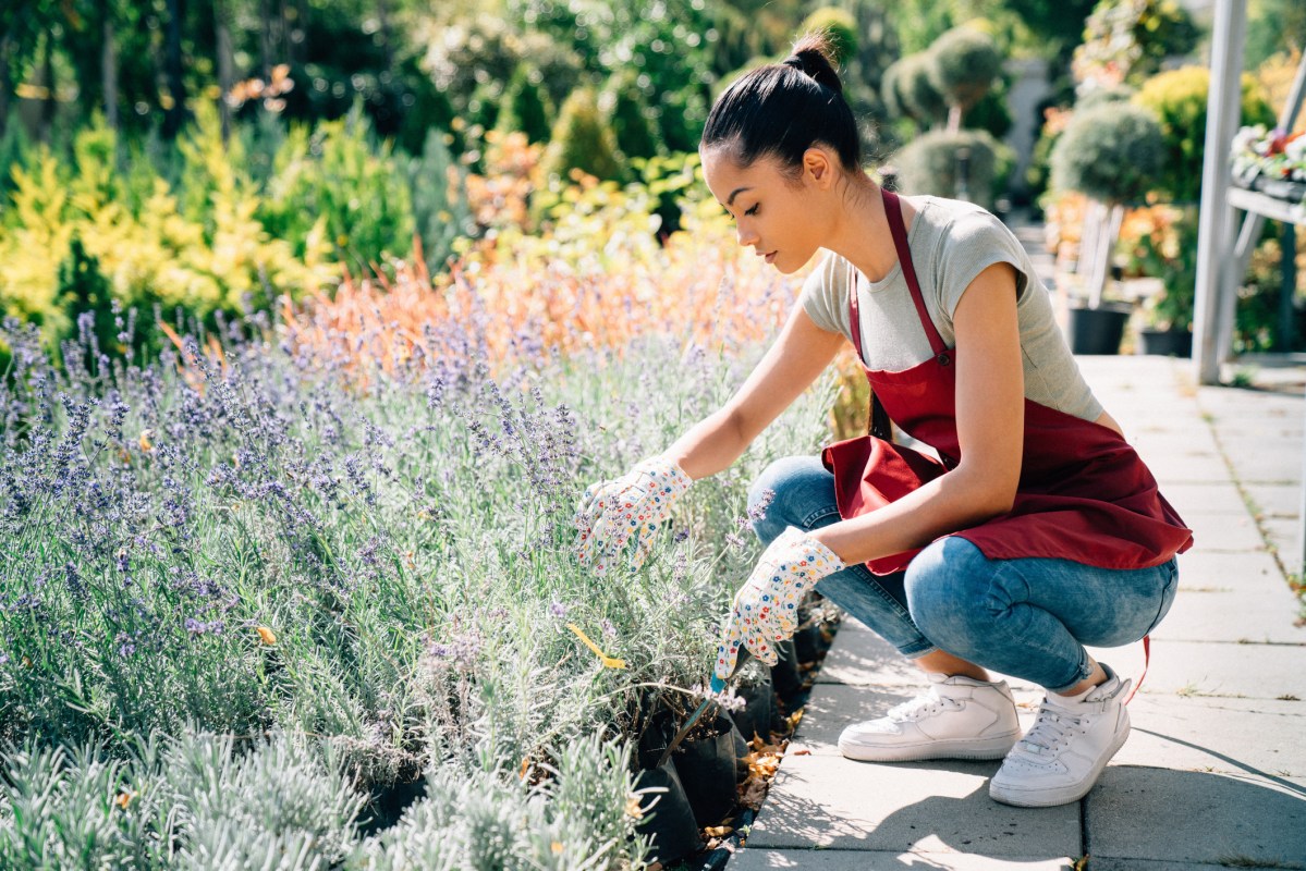 How to Achieve the Edible-Ornamental Garden Design Trend in Your Yard