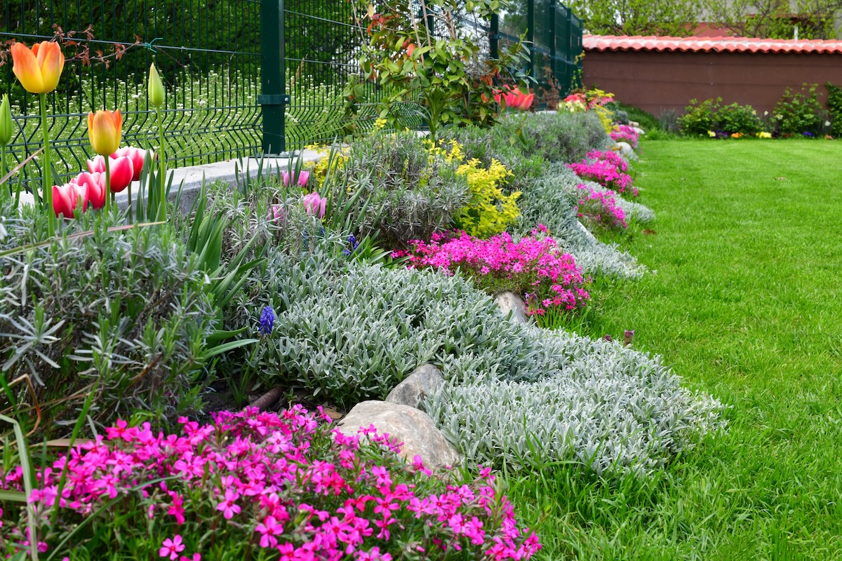 10 Flowering Ground Covers That Will Bring a Pop of Color to Your Landscape